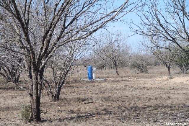 Image 16 of 19 For 146 Frio Estates Dr