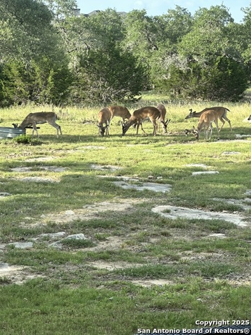 Image 27 of 30 For 2319 Cascada