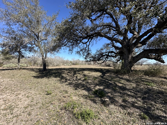 Details for Tbd Highway 181, Beeville, TX 78102