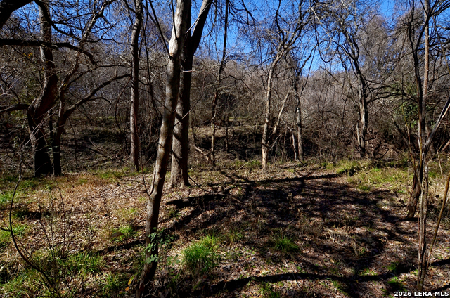 Image 13 of 23 For Tbd Highway 181