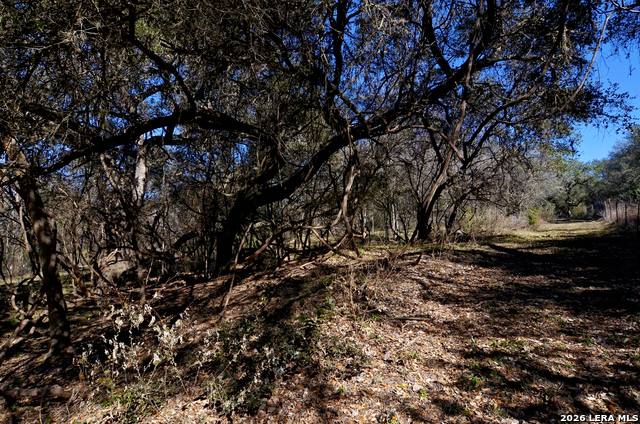 Image 16 of 23 For Tbd Highway 181