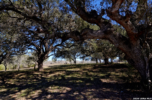 Image 17 of 23 For Tbd Highway 181