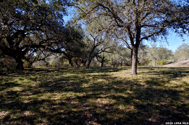 Image 19 of 23 For Tbd Highway 181