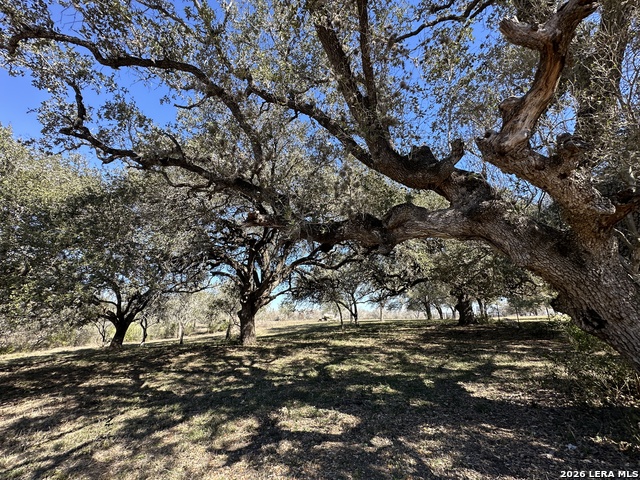 Image 4 of 23 For Tbd Highway 181