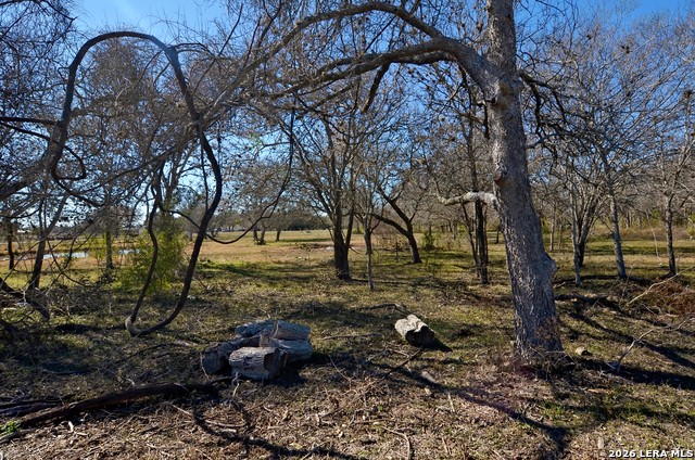 Image 7 of 23 For Tbd Highway 181