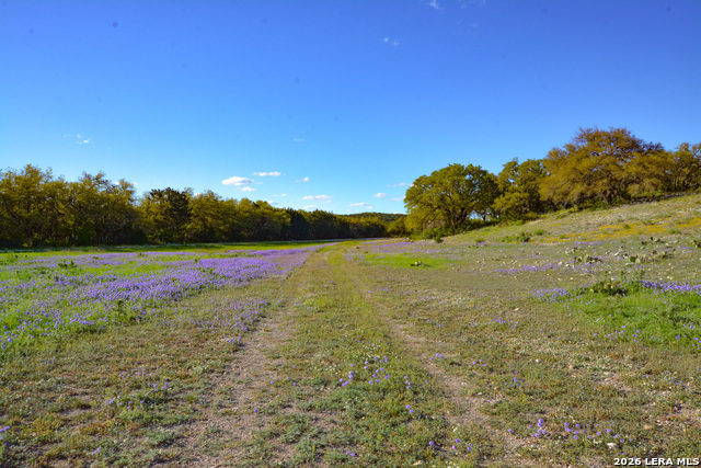 Details for 482 Wingert Rd, Junction, TX 76849