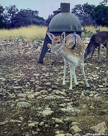 Image 39 of 63 For 482 Wingert Rd