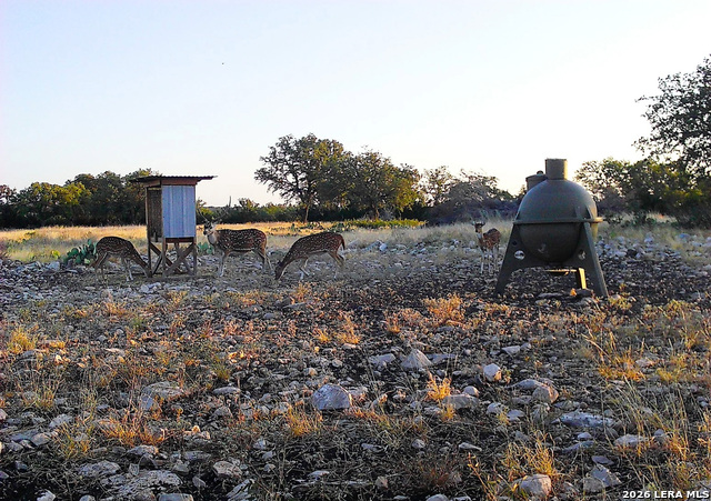 Image 40 of 63 For 482 Wingert Rd