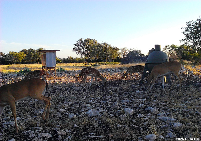 Image 41 of 63 For 482 Wingert Rd