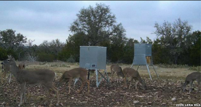 Image 46 of 63 For 482 Wingert Rd