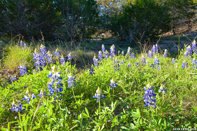 Image 49 of 63 For 482 Wingert Rd