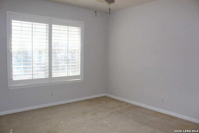 Image 24 of 28 For 7014 Andtree