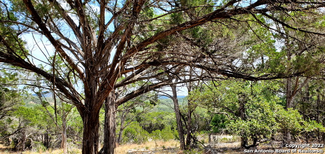 Image 10 of 26 For 0000 Park Rd N