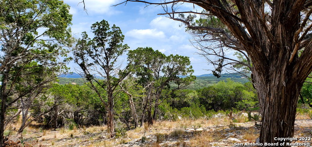 Image 11 of 26 For 0000 Park Rd N