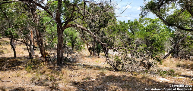 Image 6 of 26 For 0000 Park Rd N