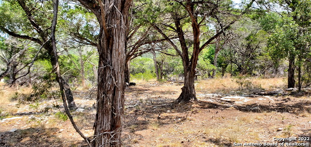 Image 7 of 26 For 0000 Park Rd N