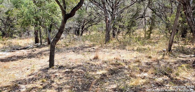 Image 8 of 26 For 0000 Park Rd N