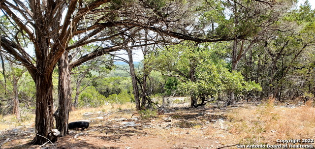 Image 9 of 26 For 0000 Park Rd N