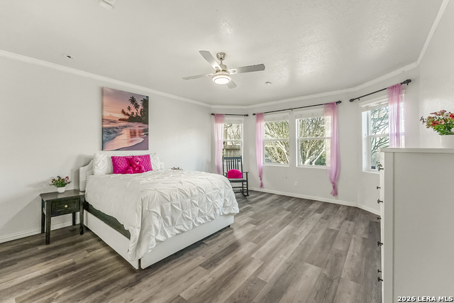 Image 10 of 32 For 12611 Mitre Peak