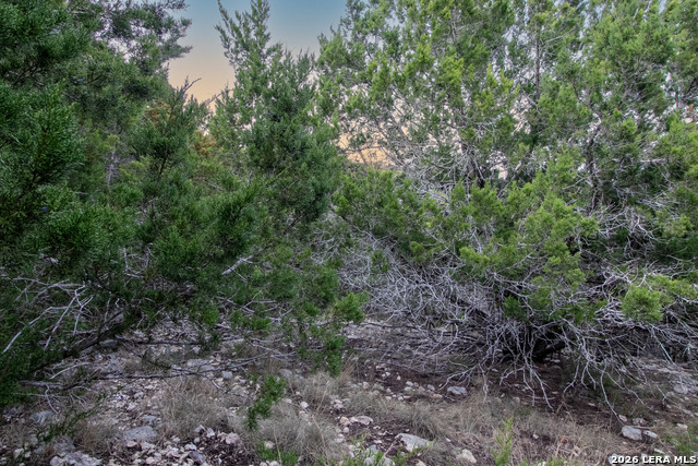 Listing photo id 12 for 197 Hills Dr Nw