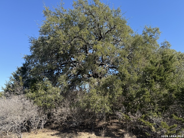 Image 5 of 12 For Lot 76 Horseshoe