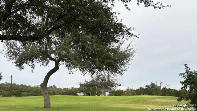 Image 11 of 14 For 527 Calvin Barrett S