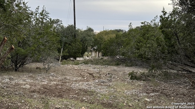 Image 12 of 14 For 527 Calvin Barrett S