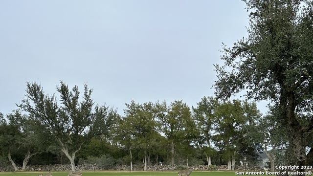 Image 9 of 14 For 527 Calvin Barrett S