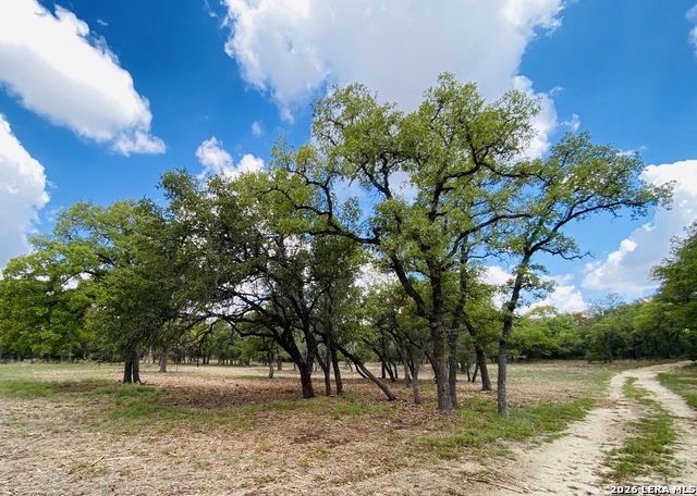 Image 10 of 16 For 32539 Tierra Robles