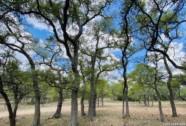 Image 11 of 16 For 32539 Tierra Robles