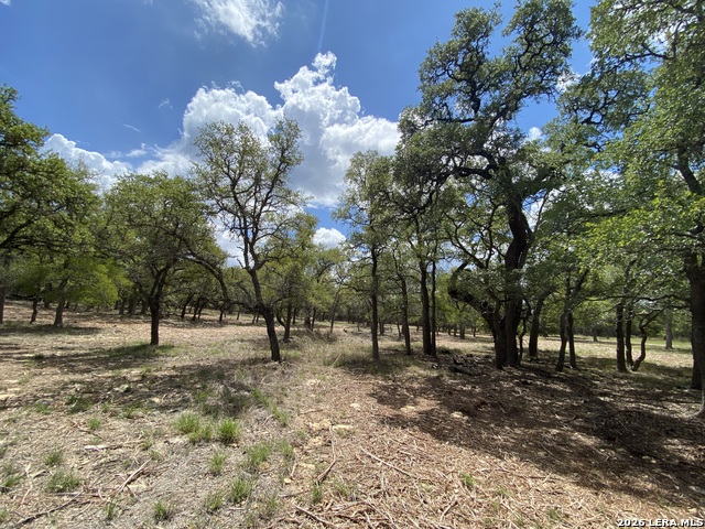 Image 12 of 16 For 32539 Tierra Robles