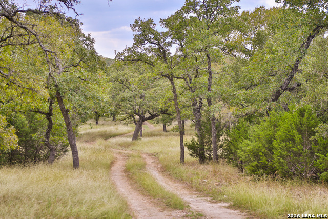 Image 13 of 16 For 32539 Tierra Robles