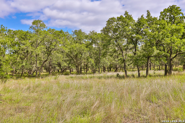 Image 14 of 16 For 32539 Tierra Robles