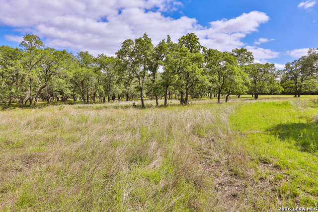 Image 15 of 16 For 32539 Tierra Robles