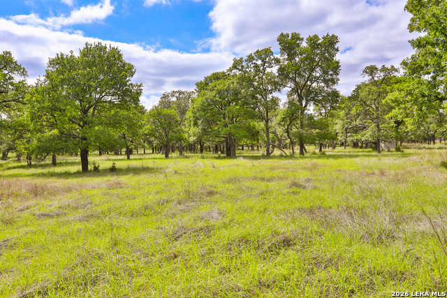 Image 16 of 16 For 32539 Tierra Robles