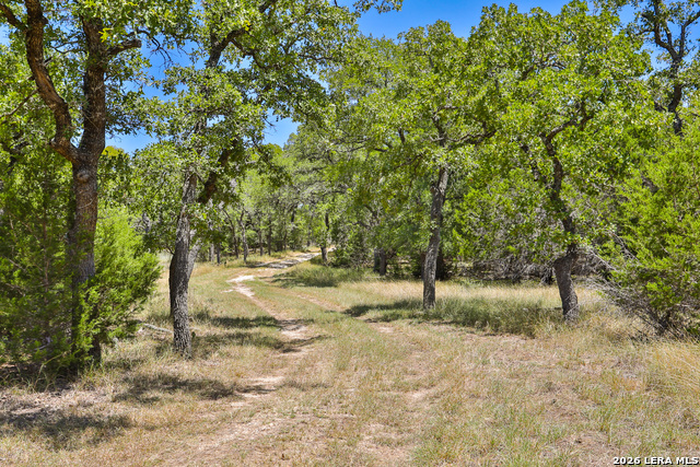 Image 2 of 16 For 32539 Tierra Robles