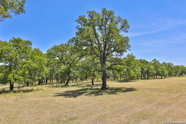 Image 4 of 16 For 32539 Tierra Robles