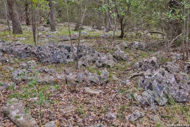 Image 5 of 16 For 32539 Tierra Robles