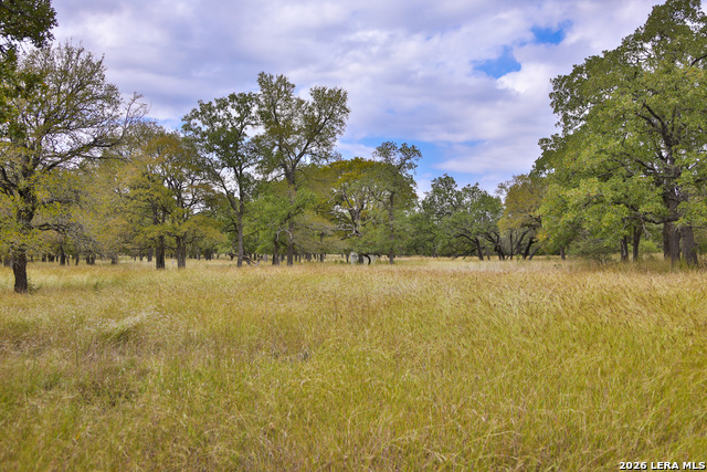 Image 6 of 16 For 32539 Tierra Robles