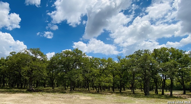 Image 8 of 16 For 32539 Tierra Robles
