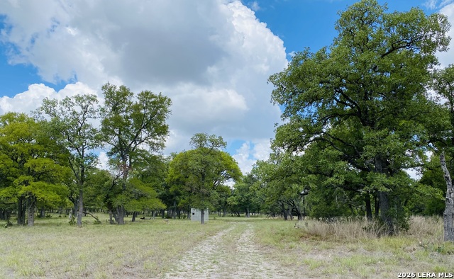 Image 9 of 16 For 32539 Tierra Robles