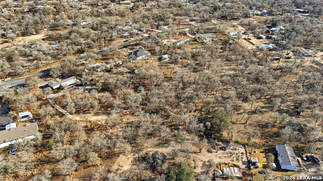 Image 12 of 17 For 1903 Turkey Chase