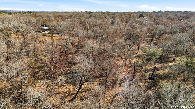 Image 14 of 17 For 1903 Turkey Chase