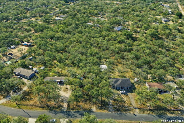 Image 2 of 17 For 1903 Turkey Chase