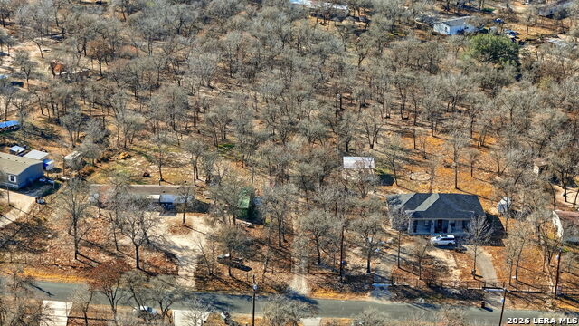 Image 4 of 17 For 1903 Turkey Chase