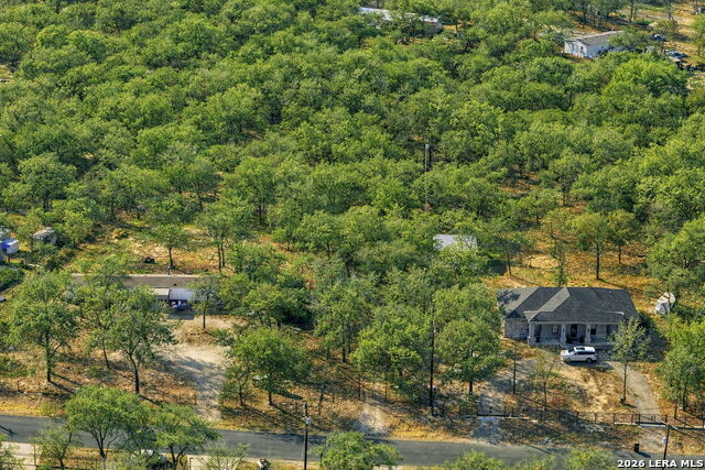 Image 5 of 17 For 1903 Turkey Chase