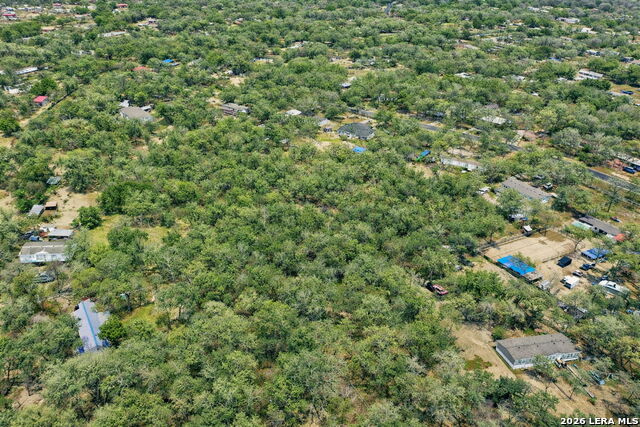 Image 6 of 17 For 1903 Turkey Chase