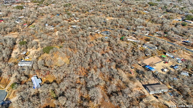 Image 7 of 17 For 1903 Turkey Chase