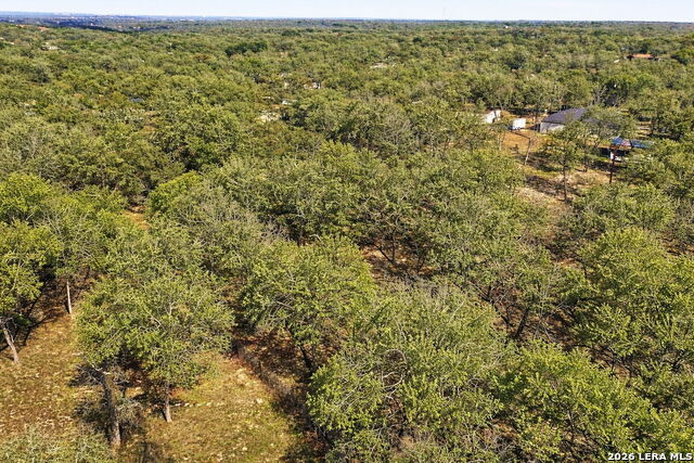 Image 8 of 17 For 1903 Turkey Chase