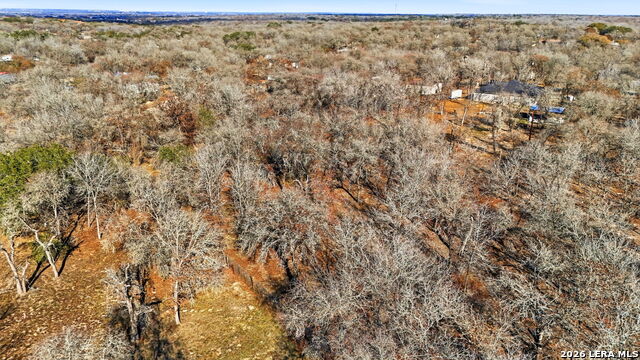 Image 9 of 17 For 1903 Turkey Chase